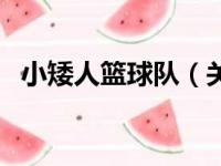 小矮人篮球队（关于小矮人篮球队的简介）