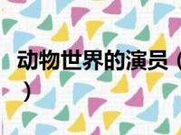动物世界的演员（关于动物世界的演员的简介）