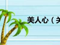美人心（关于美人心的简介）