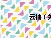 云袖（关于云袖的简介）