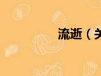 流逝（关于流逝的简介）