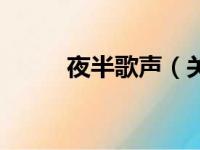夜半歌声（关于夜半歌声的简介）