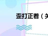 歪打正着（关于歪打正着的简介）