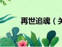 再世追魂（关于再世追魂的简介）