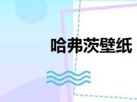 哈弗茨壁纸，切尔西哈弗茨壁纸