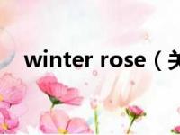 winter rose（关于winter rose的简介）