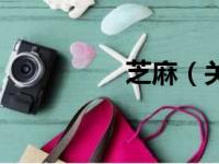 芝麻（关于芝麻的简介）