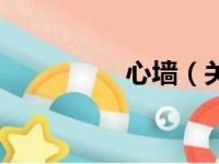 心墙（关于心墙的简介）