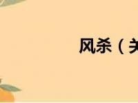 风杀（关于风杀的简介）