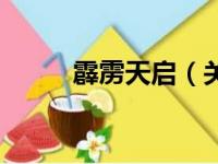 霹雳天启（关于霹雳天启的简介）