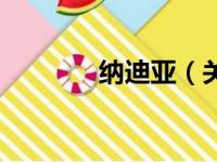 纳迪亚（关于纳迪亚的简介）