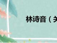 林诗音（关于林诗音的简介）