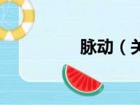 脉动（关于脉动的简介）