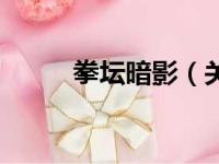 拳坛暗影（关于拳坛暗影的简介）
