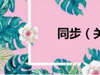 同步（关于同步的简介）