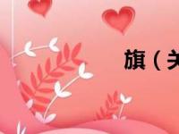 旗（关于旗的简介）
