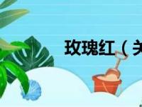 玫瑰红（关于玫瑰红的简介）