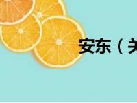 安东（关于安东的简介）