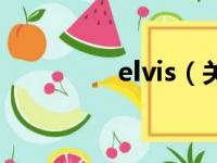 elvis（关于elvis的简介）