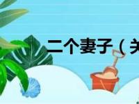 二个妻子（关于二个妻子的简介）