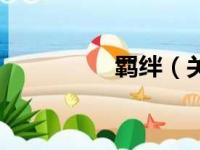 羁绊（关于羁绊的简介）