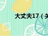 大丈夫17（关于大丈夫17的简介）