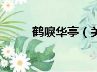 鹤唳华亭（关于鹤唳华亭的简介）