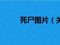 死尸图片（关于死尸图片的简介）