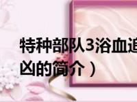 特种部队3浴血追凶（关于特种部队3浴血追凶的简介）