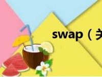 swap（关于swap的简介）