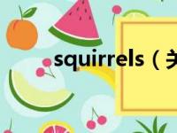 squirrels（关于squirrels的简介）