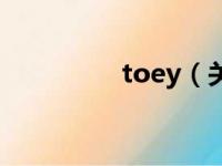 toey（关于toey的简介）