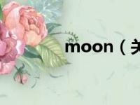 moon（关于moon的简介）