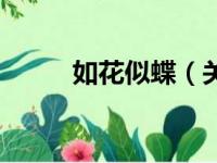 如花似蝶（关于如花似蝶的简介）