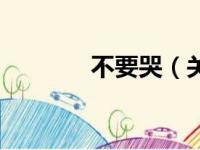 不要哭（关于不要哭的简介）