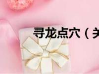 寻龙点穴（关于寻龙点穴的简介）