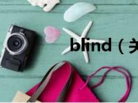 blind（关于blind的简介）