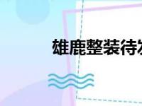 雄鹿整装待发向总决赛发起冲击