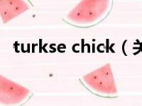 turkse chick（关于turkse chick的简介）