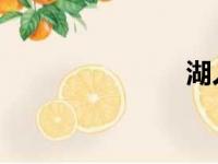 湖人经理罗柏
