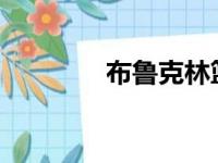 布鲁克林篮网主教练史蒂夫