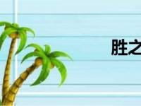 胜之不武布兰登