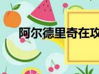阿尔德里奇在攻防两端的表现极其出色