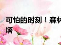 可怕的时刻！森林狼晒双塔赤膊照史上最贵双塔