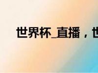 世界杯_直播，世界杯直播在线直播观看