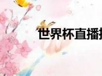 世界杯直播推，现在世界杯直播