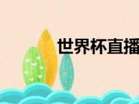 世界杯直播外卖，直播 世界杯