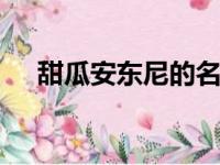 甜瓜安东尼的名字在NBA可谓家喻户晓
