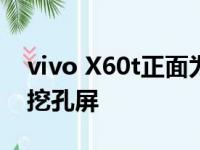 vivo X60t正面为一块6.56英寸的AMOLED挖孔屏
