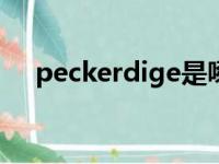 peckerdige是啄木鸟牌子吗（pecker）